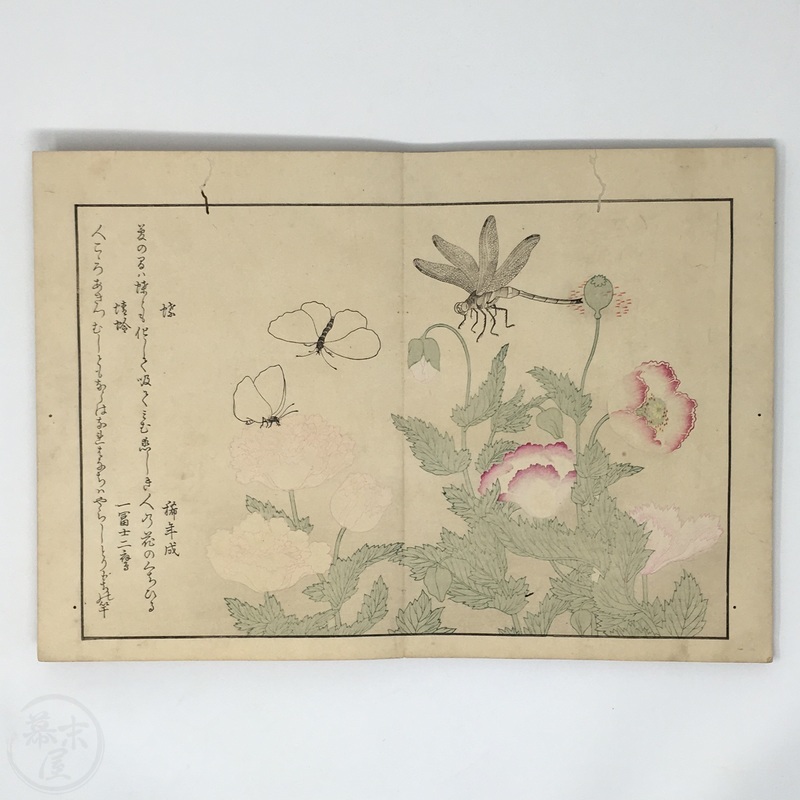 BAKUMATSUYA • Illustrated Book of Different Insects by Kitagawa Utamaro ...