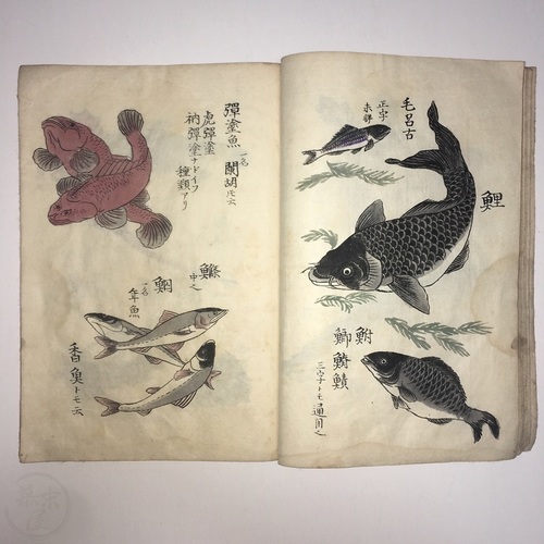 生類草本　画本早学　全 長谷川清造画